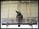 08_zaky_28062010.JPG