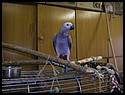 46_zaky_31122001.JPG