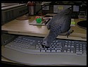 51_zaky_31122001.JPG