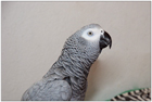 �ako