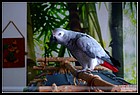 32_zaky_16112020.JPG