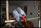 01_zaky_30052023.JPG